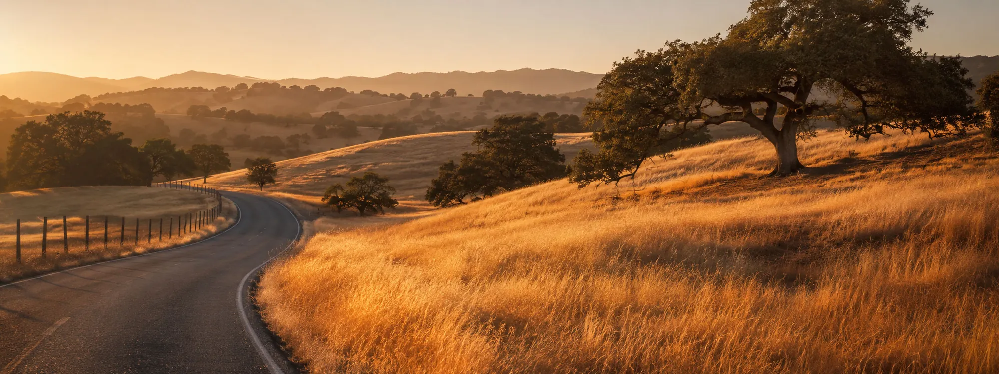 A country road curving through golden Northern California hills dotted with oaks at sunset